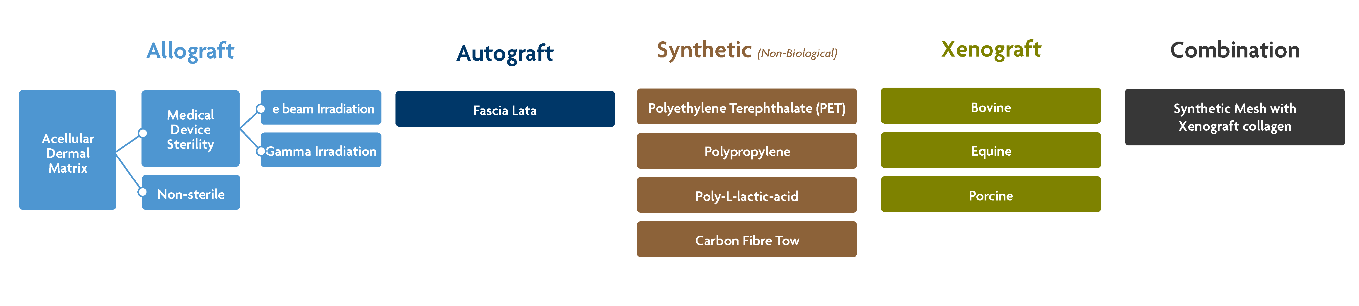 Grafts for Shoulder Repair